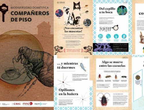 Escuni acoge la exposición «Biodiversidad doméstica», sobre los organismos que habitan nuestras casas